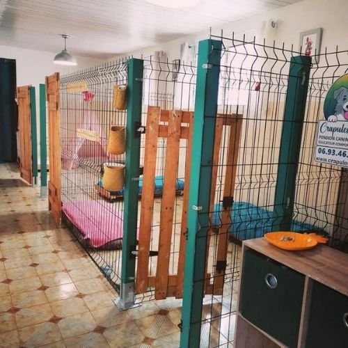 Vu espace de repos intérieur de la maison- Pension Canine Familiale Crapules et cie 974