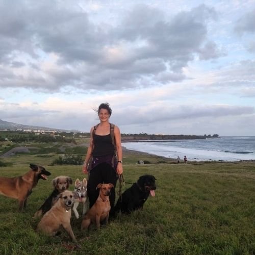 Portrait Julie avec meute chien devant vu océan indien- Pension Canine Familiale Crapules et cie 974