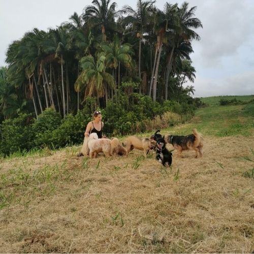 Julie avec la meute devant palmiers- Pension Canine Familiale Crapules et cie 974